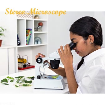 Stereo Microscope
